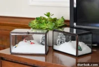 Crafting a Festive Home