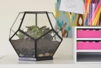 Craft Your Own Miniature Ecosystem