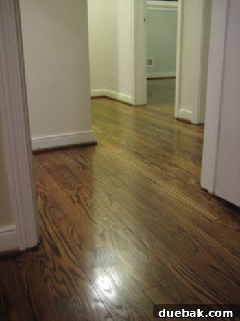 featured 6337