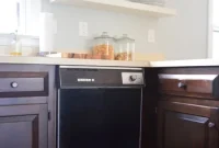 Give Your Dishwasher a Color Makeover