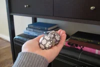 Revamp Your Furniture: Easy Hardware Swaps