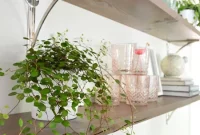 DIY Extra Long Shelves From Reclaimed Wood