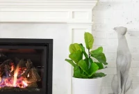 The Faux Fiddle Leaf Fig That Ended My Search