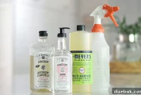 Eco-Friendly Essentials for Your Home and Body