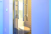 The Vanishing Act of Bathroom Privacy