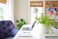 Foolproof Plants: Easy Houseplants and Realistic Fakes