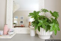 How One Episode Made Me A Plant Lady