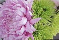 Thrifty Spring Petals