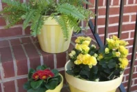 Bring Your Terra Cotta Pots to Life with Color