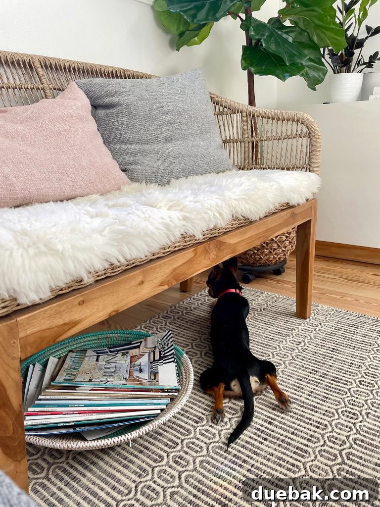 Penny the Chorkie dog laying flat with her back legs splayed out behind her under a woven bench