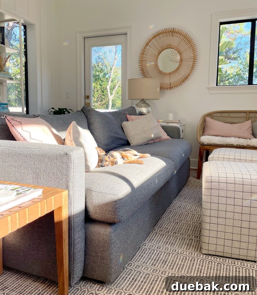 A family room with a beautiful rainbow prism on the wall, and Penny the dog resting peacefully on the couch