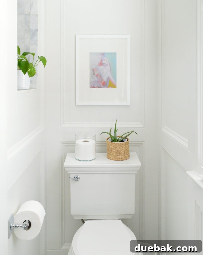 Close-up of Kohler Memoirs Stately Toilet detail in a traditional bathroom with wall molding