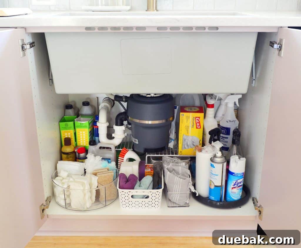Under Sink Storage In Ikea Cabinet