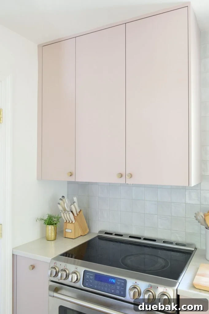 Upper Cabinet In Painted Ikea Kitchen With Hidden Omsinnad Hood Over STove