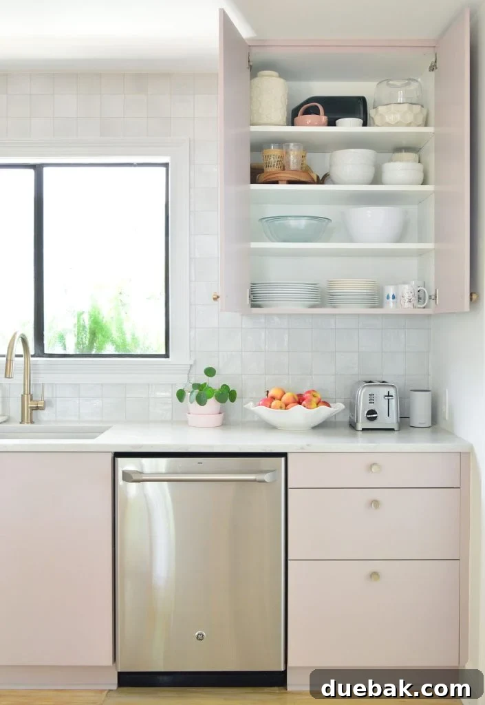 Open View of Upper Cabinet In Painted Ikea Kitchen With Plate Storage