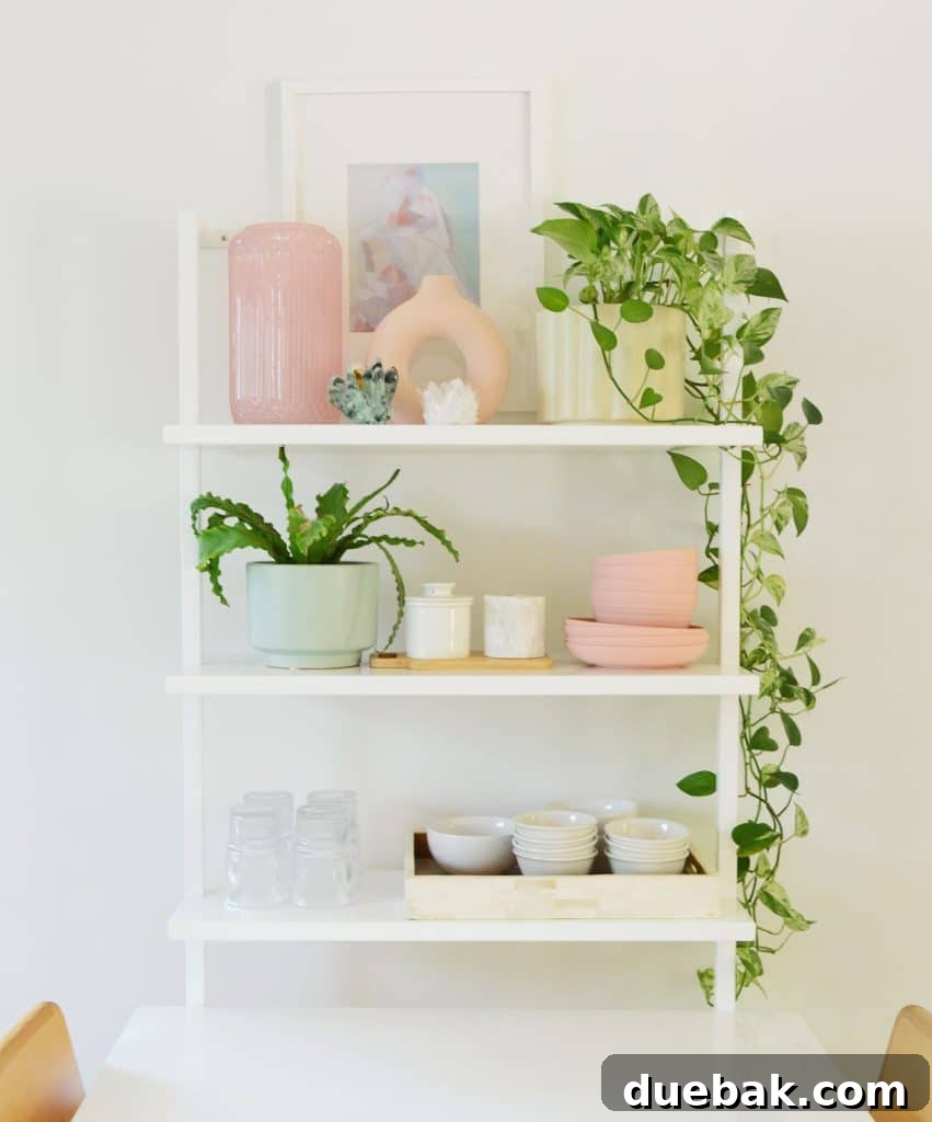 CB2 Shelf In Kitchen With Bowls Glasses And Plants