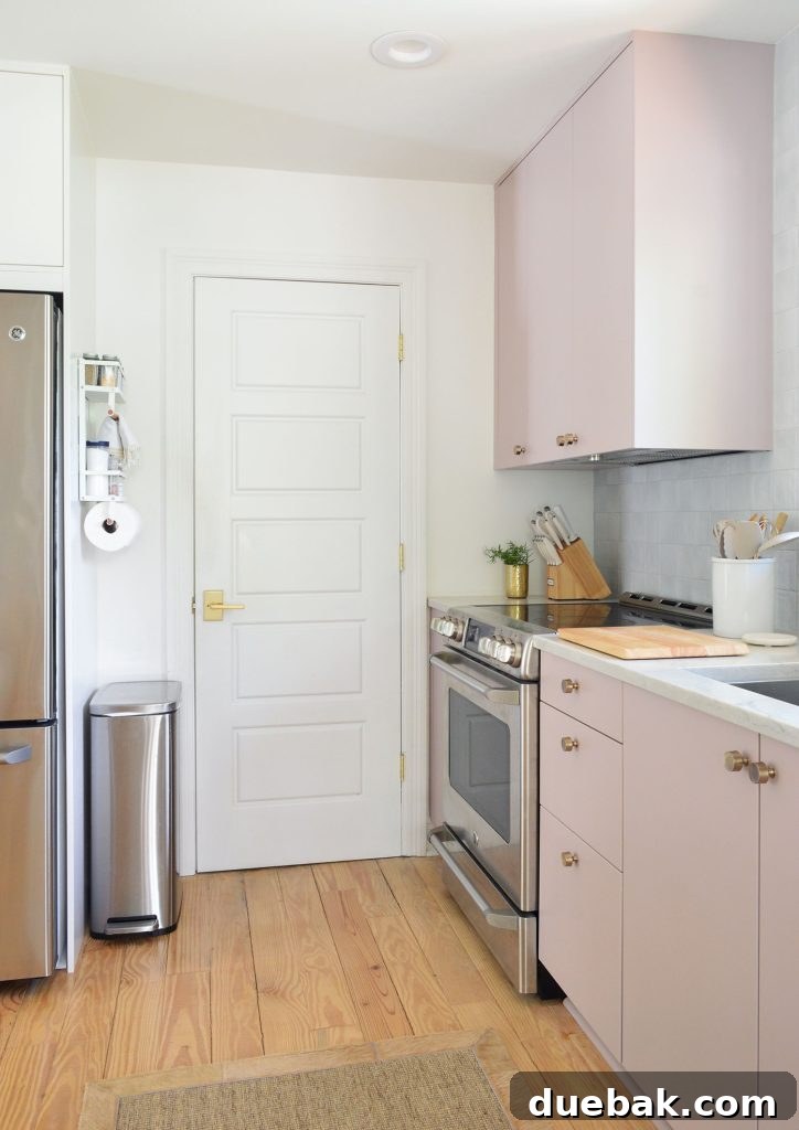 Mauve Ikea Kitchen Cabinets With Utility Closet Door Next To Stove