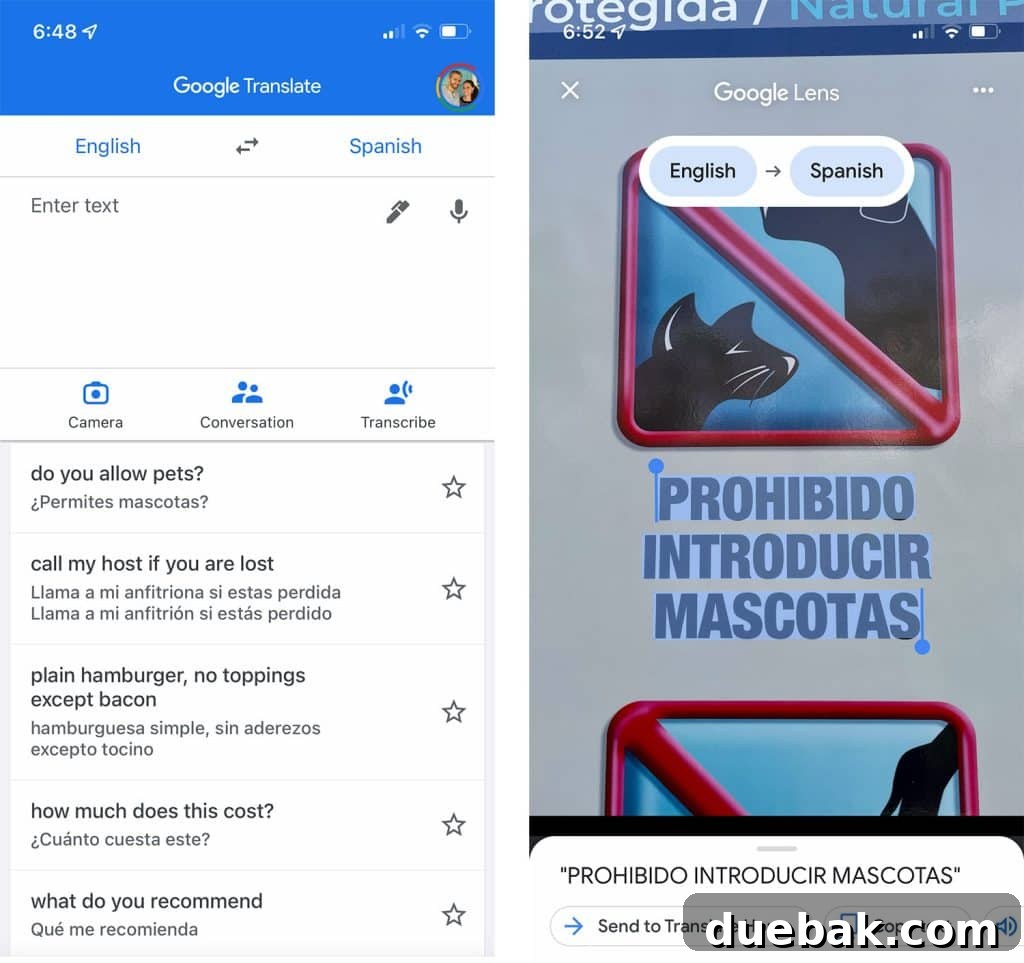 Screenshot Of Google Translate Phone App With English To Mexico Translation