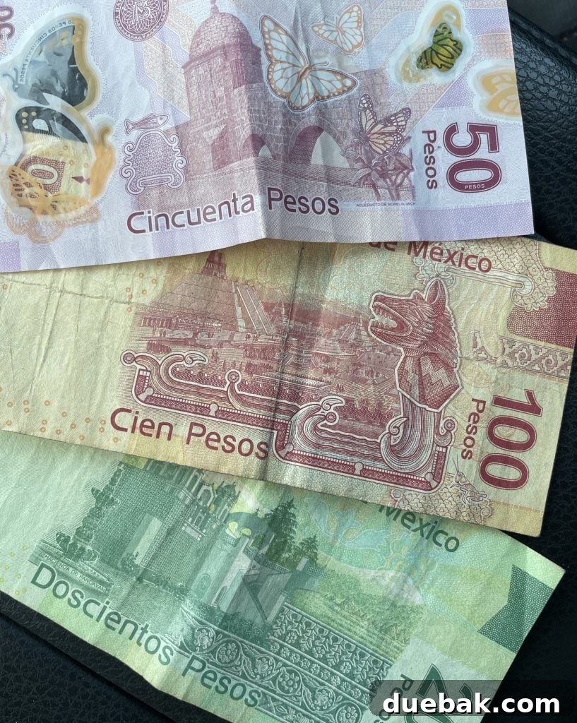 Mexican Pesos Cash For Travelers
