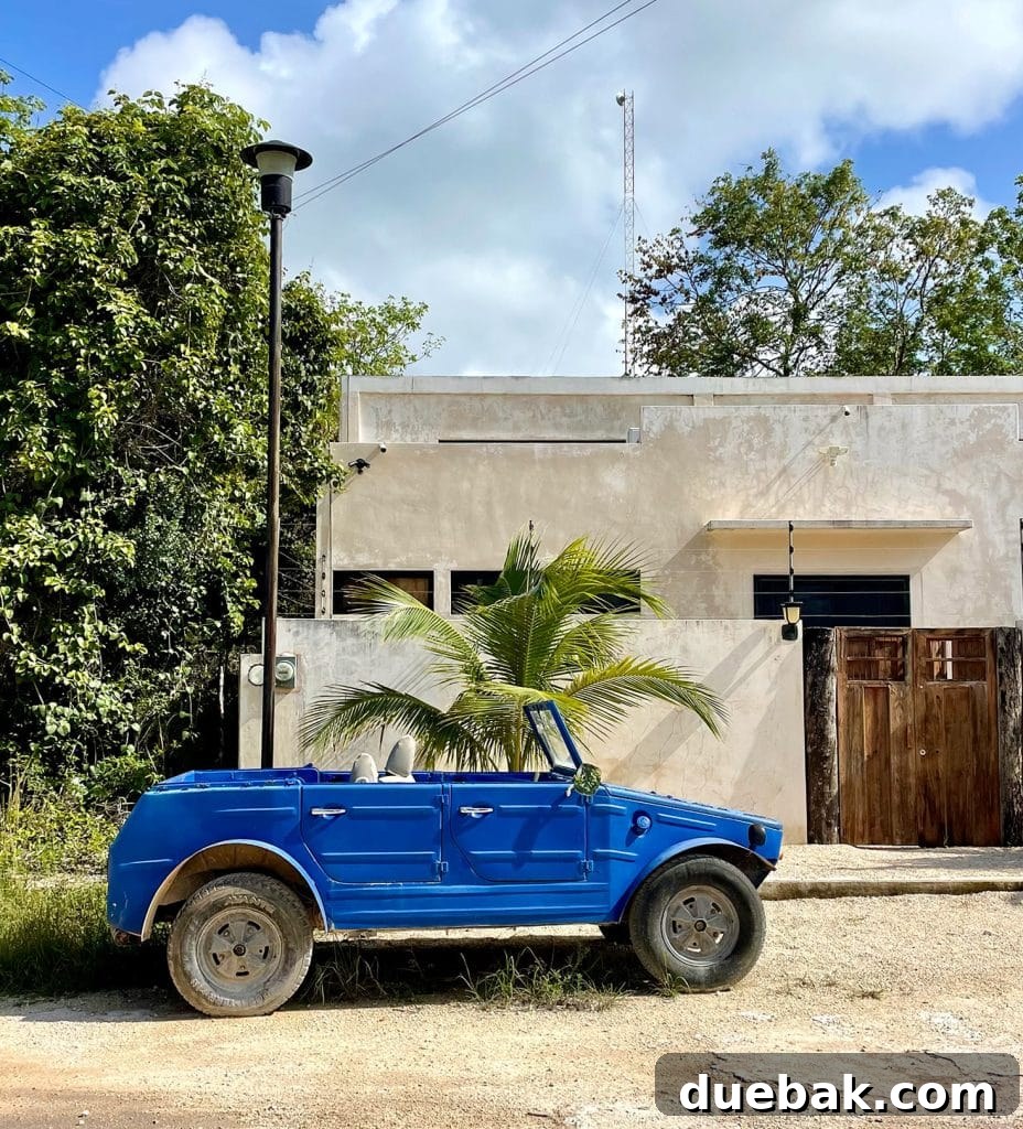Home In Tulum Mexico With Gate And Electric Fencing