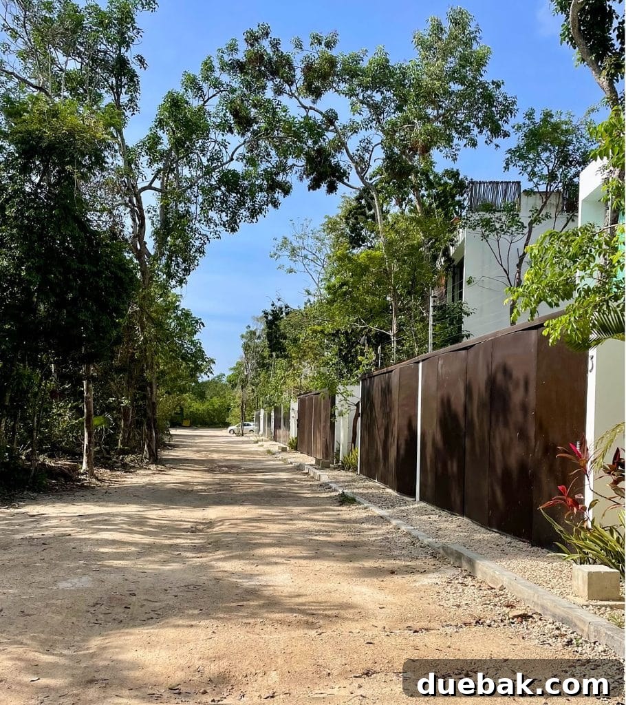 Unpaved Street With Gated Homes In La Veleta Tulum Mexico