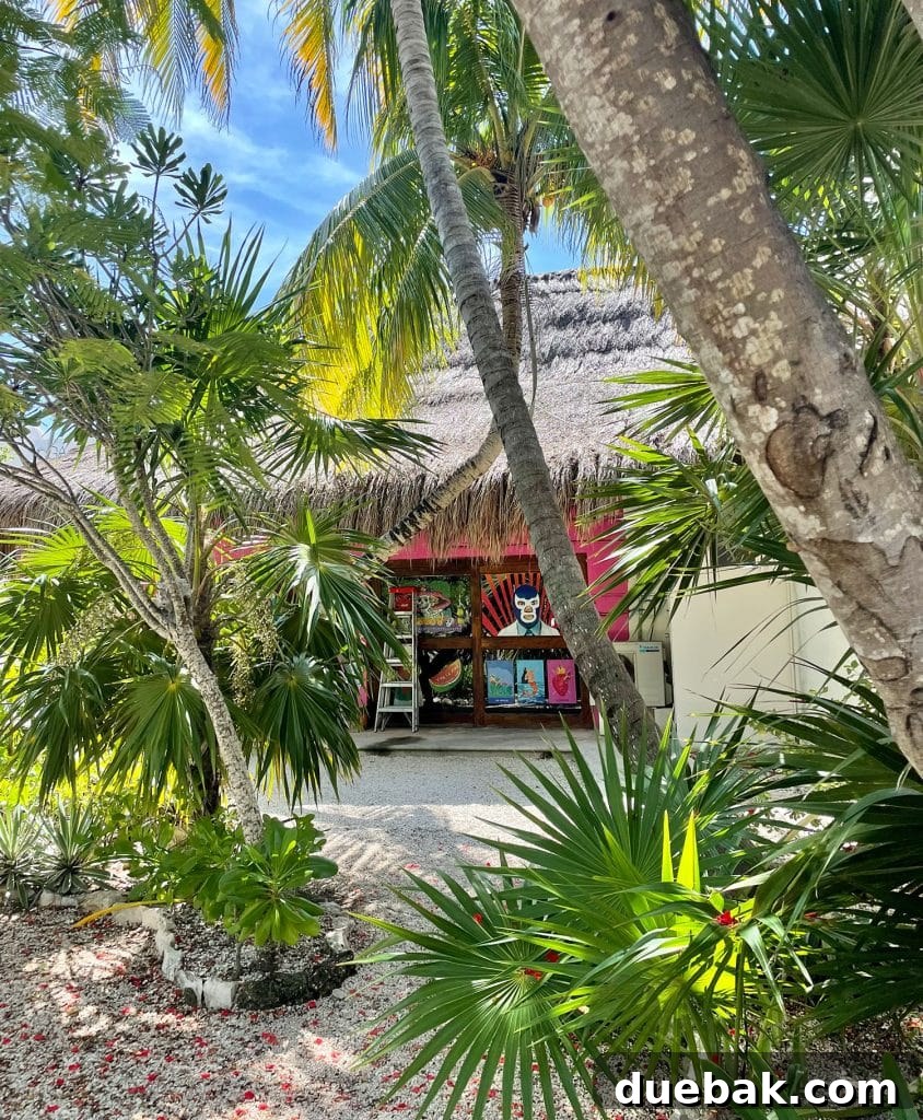 Shopping in Akumal Mexico With Lots of Palm Trees