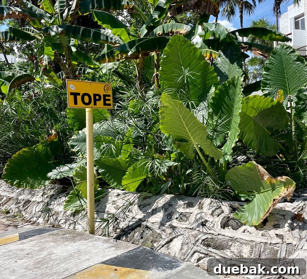 Tope Speed Bump Sign In Akumal Mexico