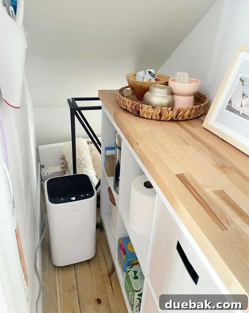 Maximizing Your Utility Closet Space 20 Under Stair Storage In Utility Closet With Cubby Storage