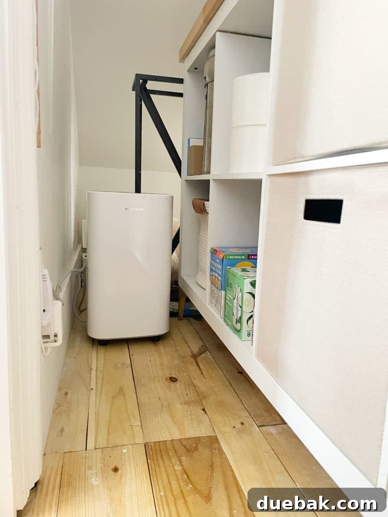 Maximizing Your Utility Closet Space 34 img 103038 34