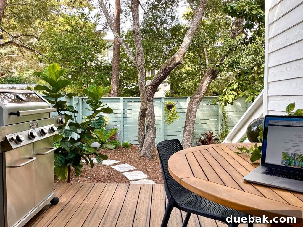 View Of Kitchen Porch With Outdoor Grill And Table With Laptop On It