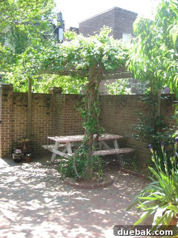 Open House Roulette 9 Leafy vine-covered pergola in a charming back garden of a brownstone
