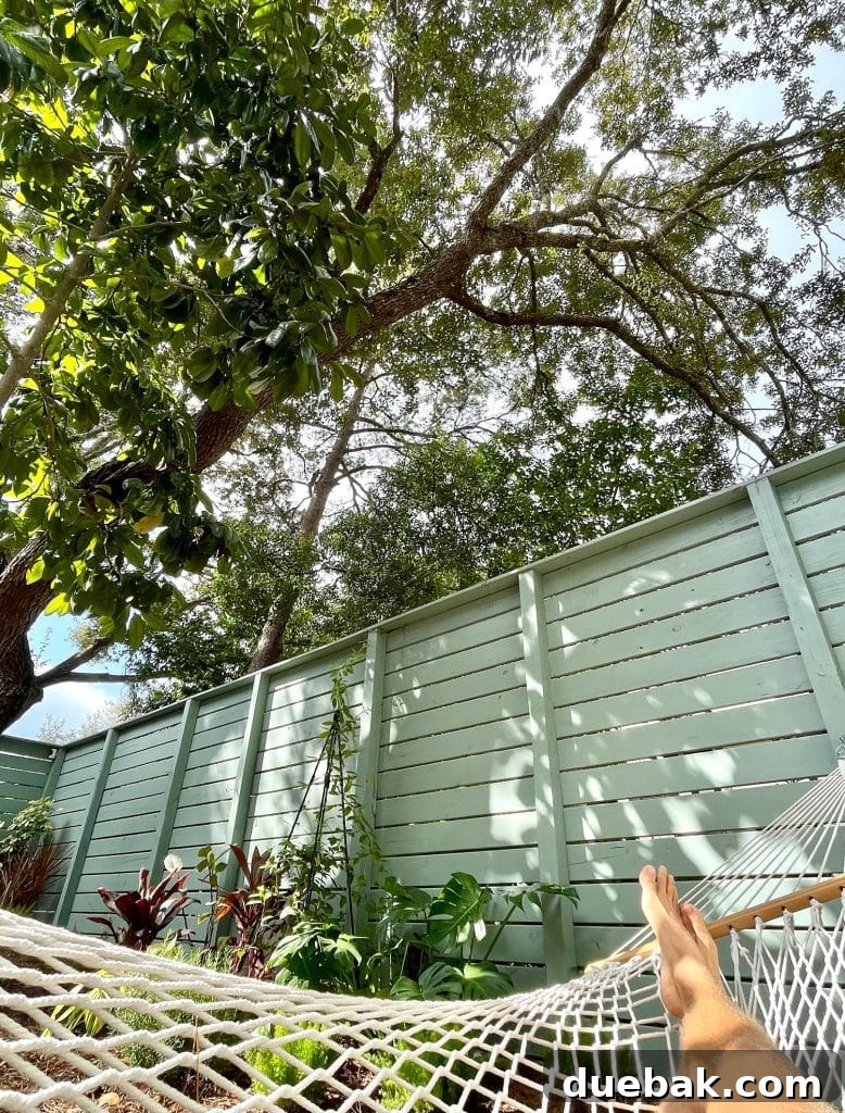 View From Hammock Up To Oak Trees, illustrating the serene and shaded environment.