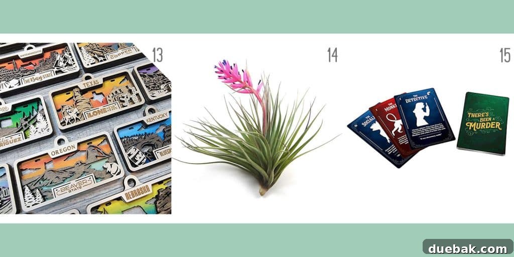 Affordable holiday gift ideas: a personalized wood-cut license plate ornament, low-maintenance air plants, and the collaborative 'There's Been A Murder' card game.