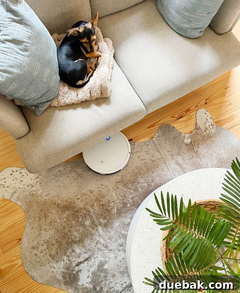 Eufy RoboVac 11S Max returning to its charging station, discreetly placed under a living room sofa