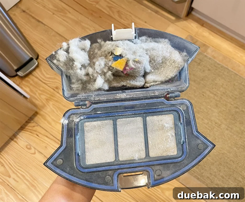 Eufy RoboVac 11S Max dust compartment visibly full after just one cleaning cycle