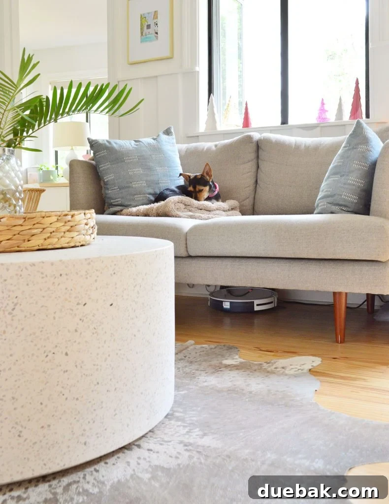 Eufy RoboVac 11S Max charging discreetly under a couch in a living room, with a relaxed dog nearby