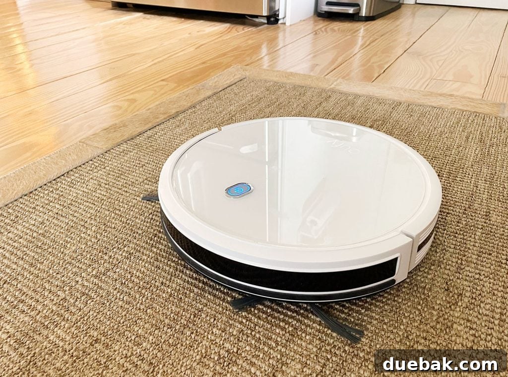 Eufy RoboVac 11S Max on a jute runner, showcasing its effective side whisker brushes