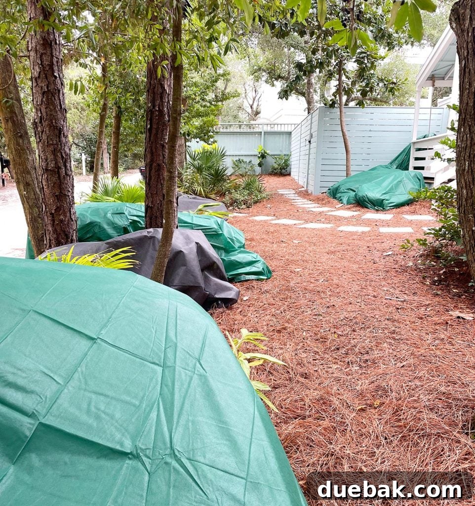 Shielding Your Plants From Winter's Chill 10 Outdoor plants covered with frost blankets during Florida freeze event