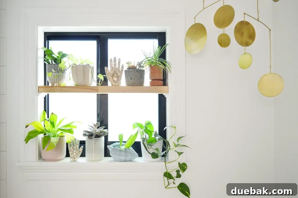 Window plant shelf with gold mobile in bathroom