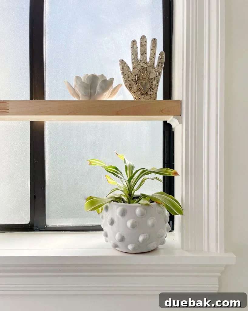 Floating Wood Shelf In Simple White Bathroom With Plants