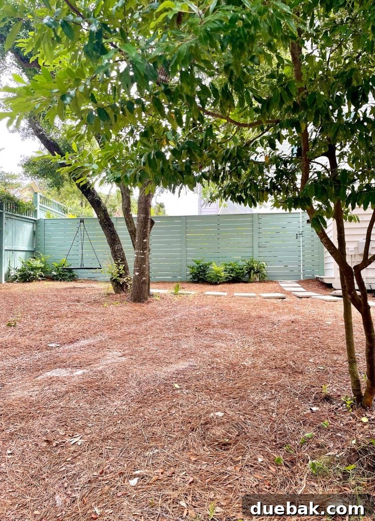Large yard area with pine straw with green fence in background with tire swing on oak tree