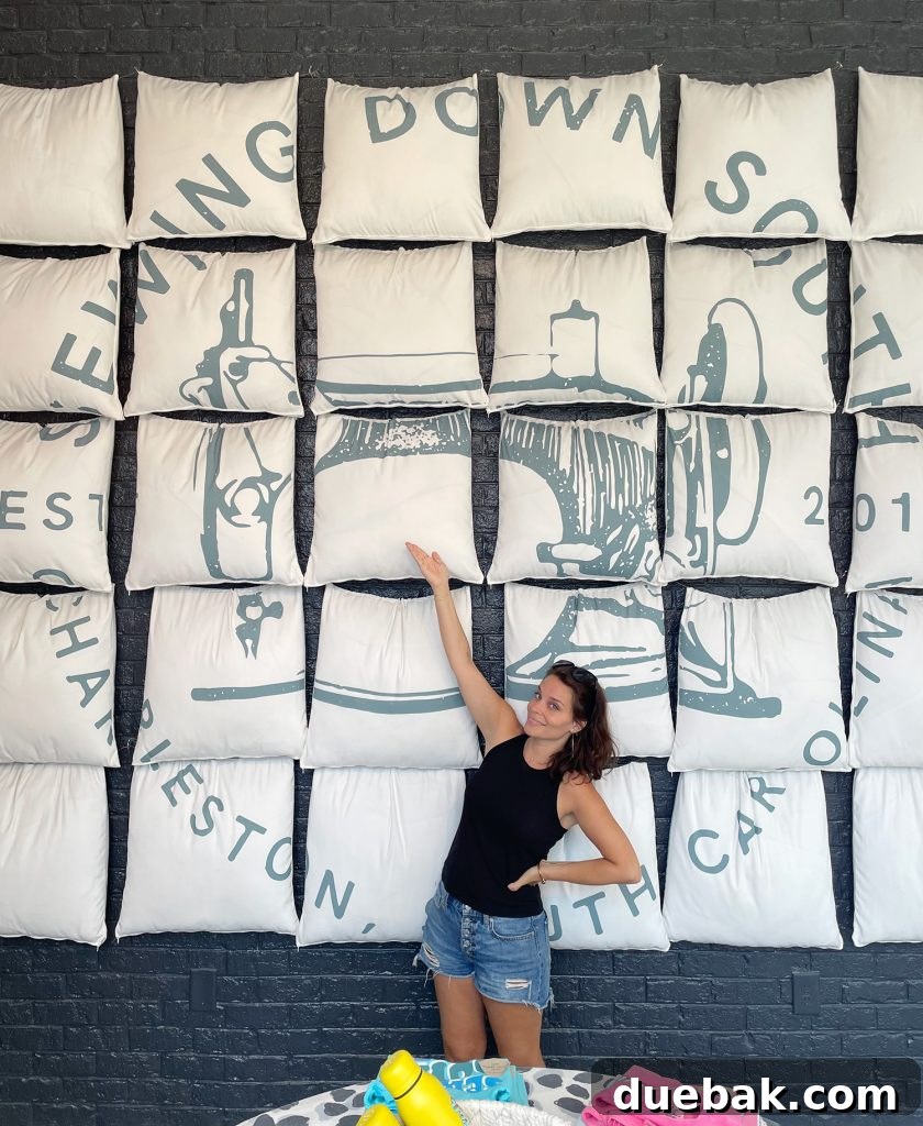 Sherry At Sewing Down South Southern Charm Craig Shop With Pillows