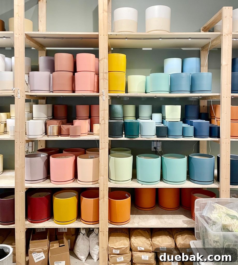 Colorful Plant Pots At Plant House In Charleston South Carolina