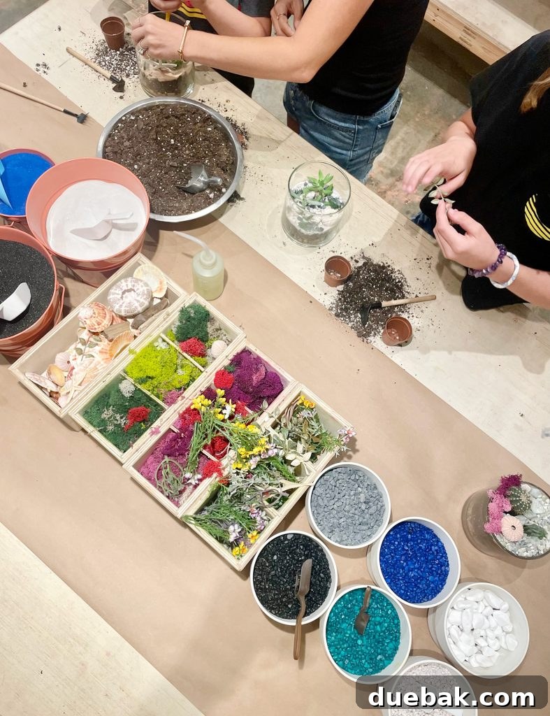 Children Making Terrariums At Plant House In Mount Pleasant In Charleston South Carolina