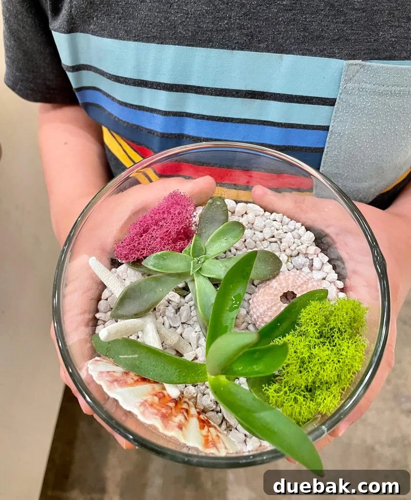 Finished Terrarium Made At Plant House In Charleston South Carolina Mount Pleasant