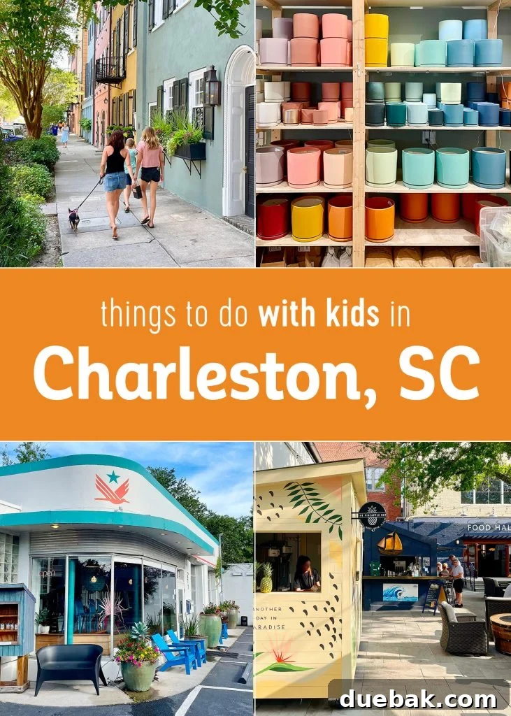 Collage of Things To Do With Kids In Charleston South Carolina
