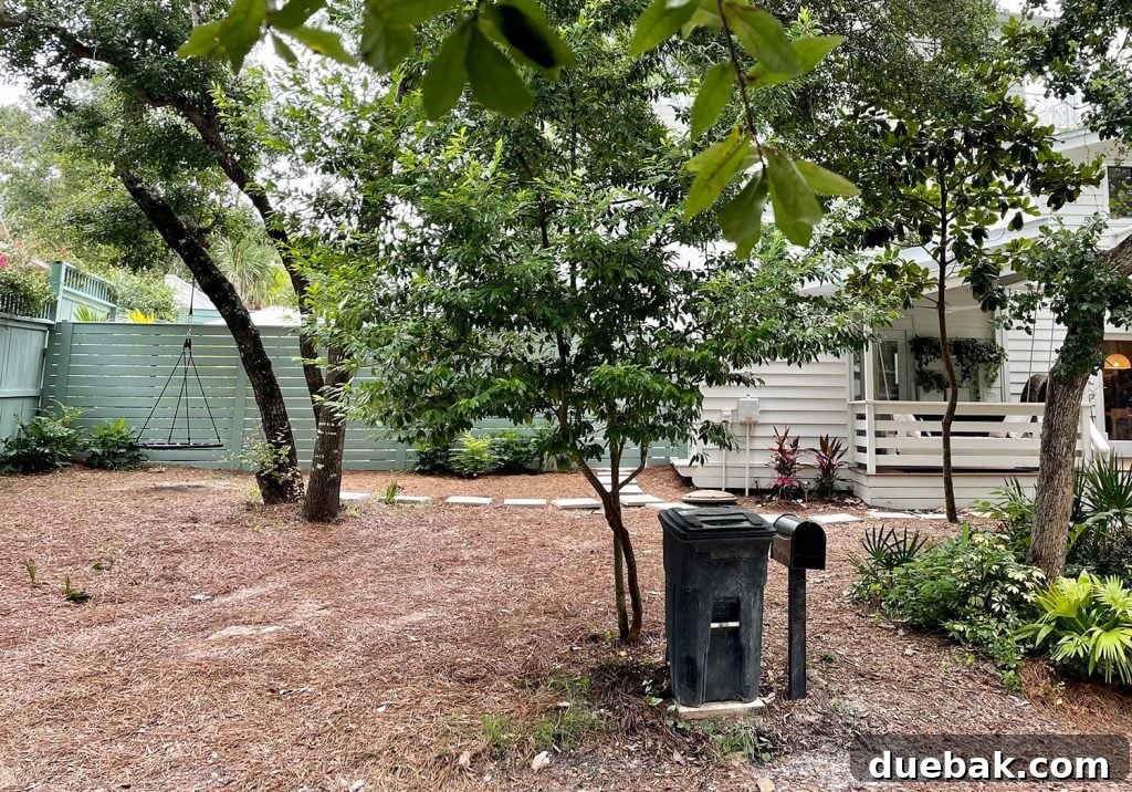 Before photo of future driveway area of front of the house