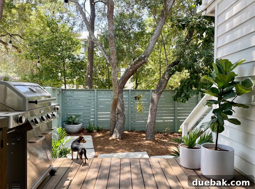 View From Kitchen Porch Into Side Yard With Dog On Trex