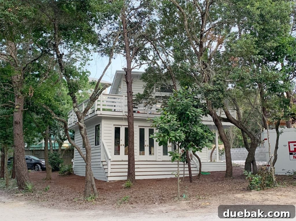 House After Move In With No Driveway And Car In Pine Straw