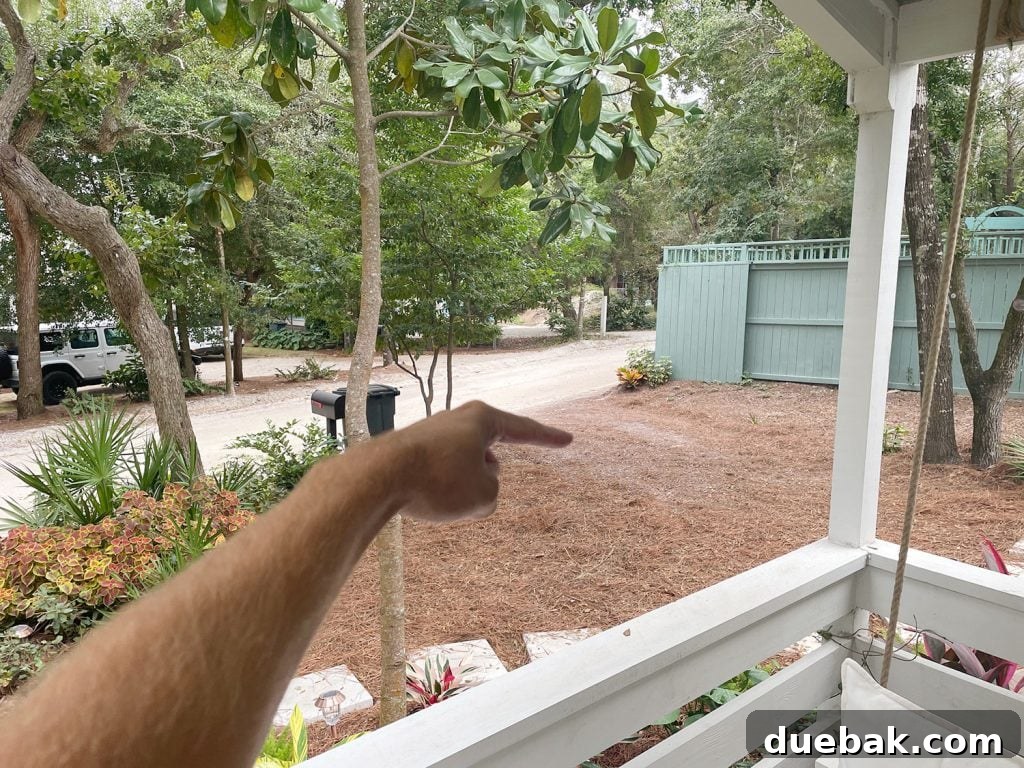 Finger Pointing to Spot In Pine Straw For Car To Park